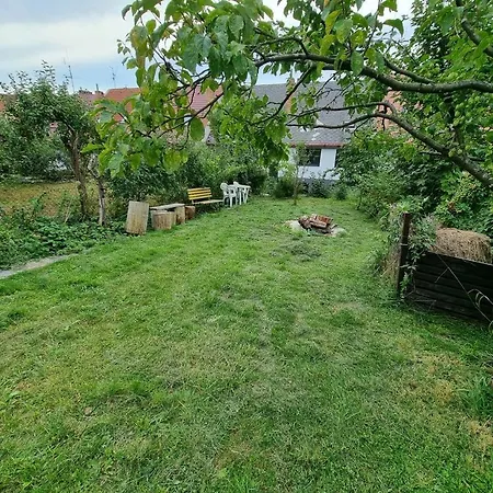 Star Černá v Pošumaví